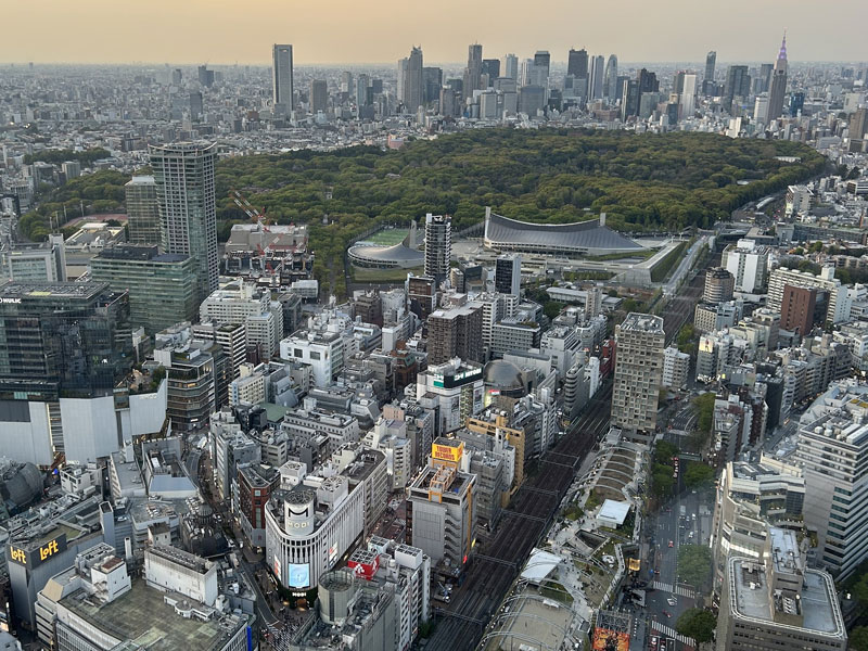 Tokyo as seen from Sky Tree Shibuya